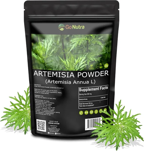 Vista 7 de Go Nutra Polvo de ajenjo dulce (Artemisia annua) Artemisinina natural Apoya la salud digestiva, la energía y los antioxidantes Té de hierbas