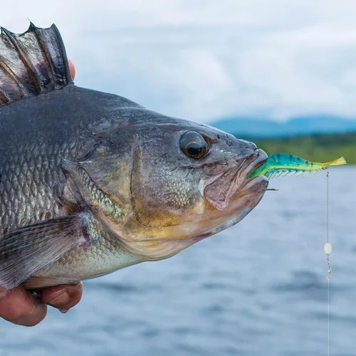 Vista 8 de Juego de 10 señuelos de pesca de agua salada para camarones, aparejos de pesca de camarones suaves de alta calidad con ganchos afilados luminosos