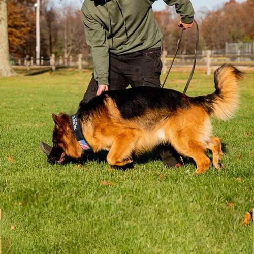 Vista 6 de Collar táctico para perro con bandera estadounidense de Estados Unidos, collar militar grueso con asa, collar de nailon resistente K9, hebilla