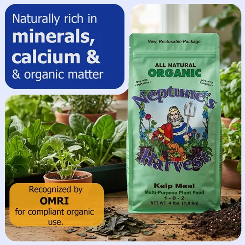 Vista 2 de Neptune's Harvest Alimento orgánico para plantas de algas marinas (1-0-2) – Bolsa resellable de 4 libras – Fertilizante multiusos de algas marinas