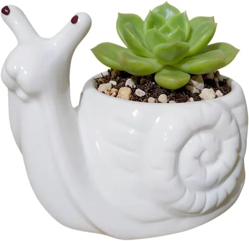 Vista 9 de Maceta de cerámica en forma de caracol animal - Decoración única y encantadora para el hogar (azul)