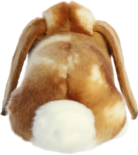 Vista 5 de Aurora - Miyoni - Conejo Holland Lop de 9 pulgadas - Bronceado
