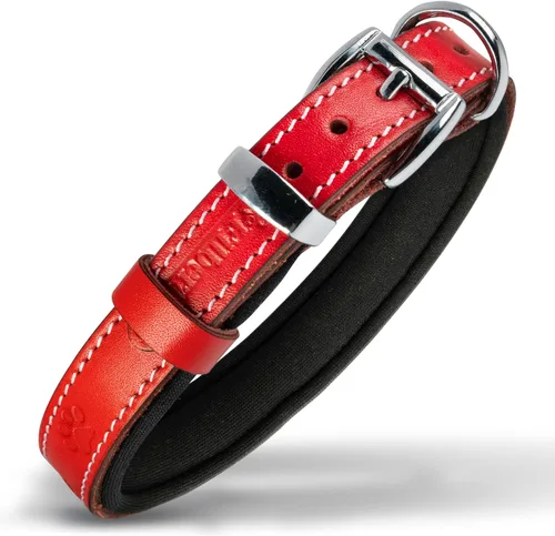 Vista 23 de Filbert Collar de cuero para perro, collar de cuero genuino para perros pequeños, estampado de patas en relieve con hebilla, grano completo curtido