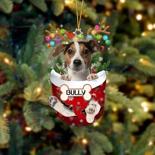 Vista 101 de IZI POD Affenpinscher Adorno de Navidad personalizado para perro, adorno de bolsillo de nieve para perro para árbol de Navidad, adorno acrílico