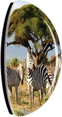 Vista 2 de Kenia Masai Mara Zebras Safari Frigorífico Imán 3D Cristal Turístico Ciudad Viaje Recuerdo Colección Regalo Fuerte Etiqueta Adhesiva Refrigerador