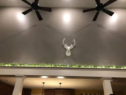 Vista 8 de Cabeza de ciervo, decoración de pared de Wall Charmers. Busto de imitación de taxidermia, metalizado, fabricado en resina, Poliresina, Blanco, L
