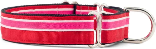 Vista 7 de If It Barks Collar Martingala de 1 pulgada con hebilla de liberación rápida, ajustable, fabricado en Estados Unidos, pequeño, arándano