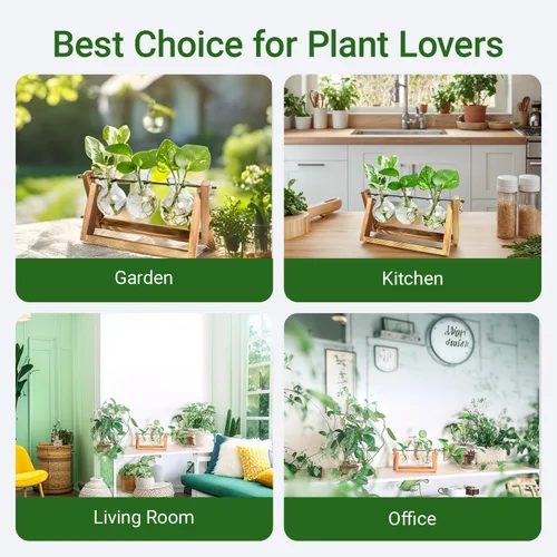 Vista 5 de Estación de propagación, terrario de plantas, regalos para amantes de las plantas para mujeres, soporte de corte de plantas, decoración del hogar