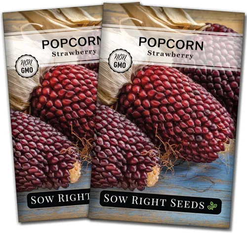 Vista 7 de Sow Right Seeds - Semilla de maíz de fresa para plantar - Paquete de reliquia sin OMG con instrucciones para plantar un huerto casero - Cultiva tus