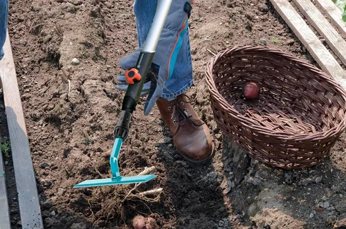 Vista 2 de Gardena combisystem - Azada de empuje y tracción GARDEX: accesorio de jardín para trabajos de suelo como camas de deshierbe y caminos, 5.5 in