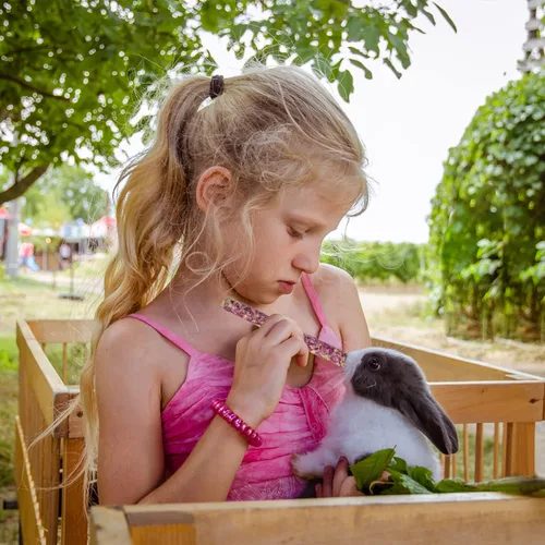 Vista 3 de Sofier Golosinas de Heno Timothy Juguetes para Conejos Juguetes para Conejitos Cobayo Hámster Masticables Naturales para Dientes Hechos a Mano