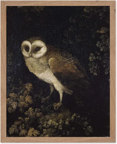 Vista 9 de Poster Master Póster vintage de búho – Impresión de pintura retro de búho – Arte Moody – Arte de pájaro – Gran regalo para hombres, mujeres, amantes