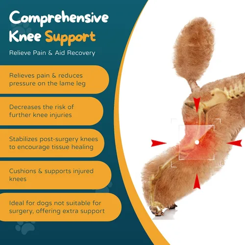 Vista 6 de Rodillera para perro ACL para perro, soporte para pierna trasera para perro ACL con collar adicional y soporte para tratar la artritis