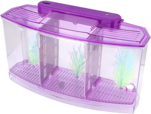 Vista 9 de Acuario pequeño de acrílico de tres áreas, mini pecera, para Betta para peces pequeños (morado)