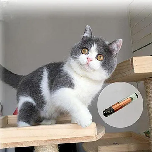 Vista 4 de Microchip universal para mascotas, microchip de implante de 134.2 khz, registro FDX-B, microchip de identificación de mascotas para el manejo