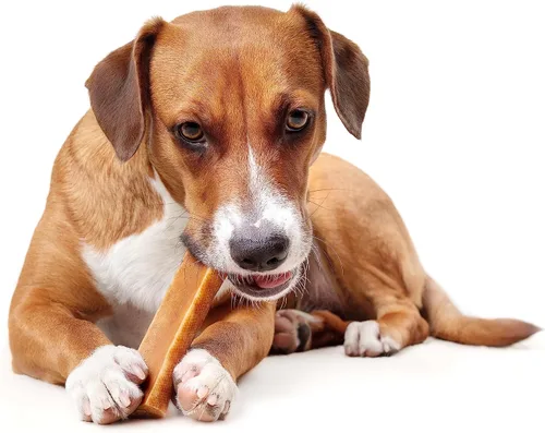 Vista 3 de PIMA - Masticables de queso canino, masticables naturales de yak para perros de 65 libras o menos, sin lactosa, de larga duración con proteínas
