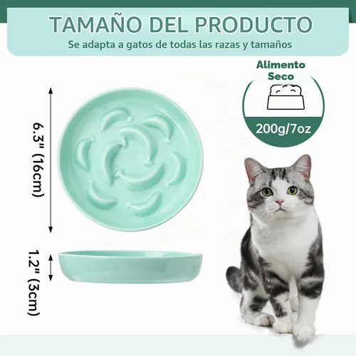 Vista 2 de Juego de 2 cuencos de cerámica para gatos de 6.3 pulgadas de ancho Azul y Verde