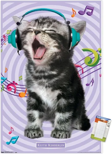 Vista 14 de Trends International Keith Kimberlin - Gato - Póster de pared cantando, 14.725 x 22.375 pulgadas, versión con marco de madera tipo granero
