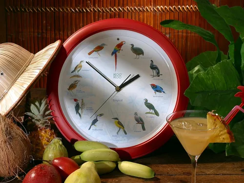 Vista 7 de KOOKOO KidsWorld - Reloj de pared para niños con sonidos naturales, 12 animales de granja