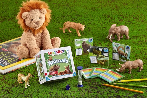 Vista 8 de BrainBox - Juego de cartas de animales – Memoria y observación, 55 tarjetas de escenas detalladas, trivia familiar para niños y adultos, a partir