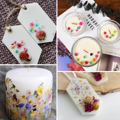 Vista 5 de 710 flores secas para manualidades de resina, pequeñas flores secas para uñas, flores secas prensadas pequeñas naturales reales para joyas, aretes
