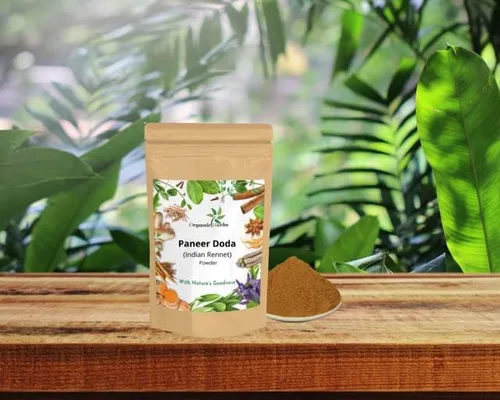 Vista 2 de Cuajo indio a base de hierbas ayurvédicas Paneer Doda Powder Paneer ka Phool Withania Coagulans (polvo 200gm/7 oz)