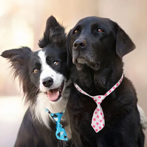 Vista 3 de Segarty Pajaritas para perros a granel, paquete de 40 lazos para perros, collares para cachorros, corbatines ajustables para perros pequeños, Varied