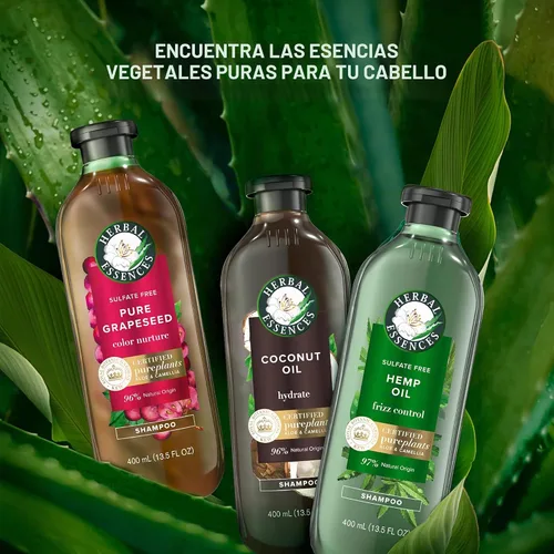 Vista 9 de Herbal Essences bio:renew Acondicionador hidratante de leche de coco, 13.5 fl oz