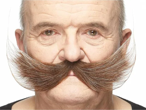 Vista 32 de Mustaches Self-Adhesive Fake Mustache, Synthetic Fur Costume Accessory Set Arqueólogo gris con blanco