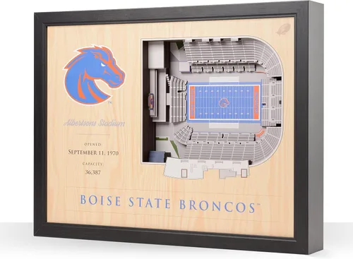 Vista 18 de YouTheFan NCAA Arte de Pared StadiumView de 25 Capas