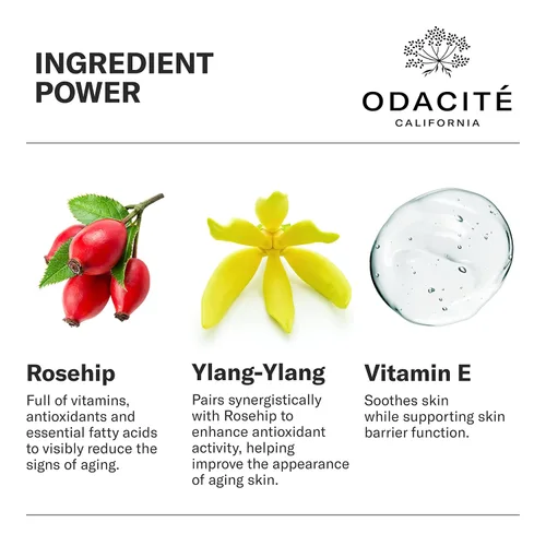 Vista 3 de Odacité - Suero concentrado antienvejecimiento con rosa mosqueta + ylang-ylang, suero facial ligero para piel madura, líneas finas, nutre para un