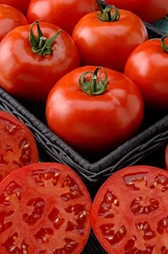 Vista 5 de Semillas de tomate híbridas Phoenix, tipo arbusto rara vez necesita replanteo (10 - semillas)