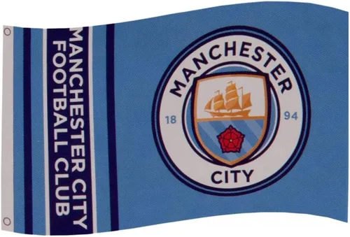 Vista 5 de Bandera F.C. Arsenal WM