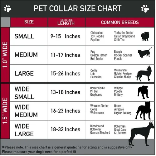 Vista 6 de Collar de cadena con letra inicial cubana para perro, collar de cadena para mascotas, gato, collar para cachorro (S, 25 cm)