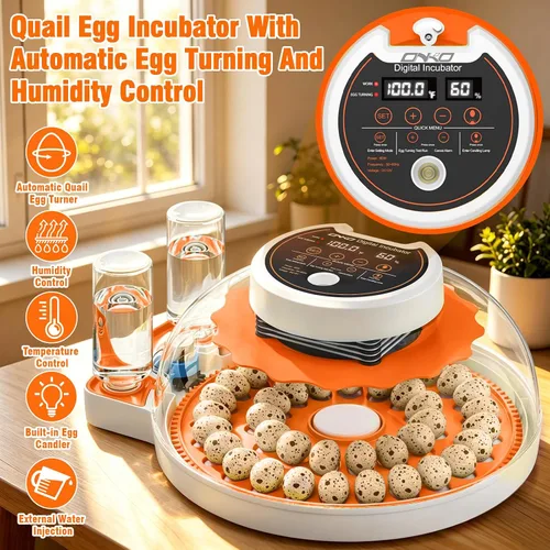 Vista 2 de Incubadora de huevos de codorniz con girador automático y control de humedad, incubadora de aves capaz de incubar 40 huevos de codorniz, incubadoras