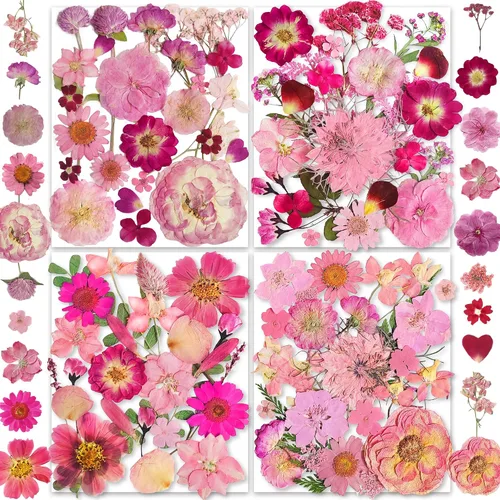 Vista 11 de 150 piezas de flores azules secas prensadas con pegatinas de mariposas - Juego de flores naturales reales de YouthBro para manualidades de resina