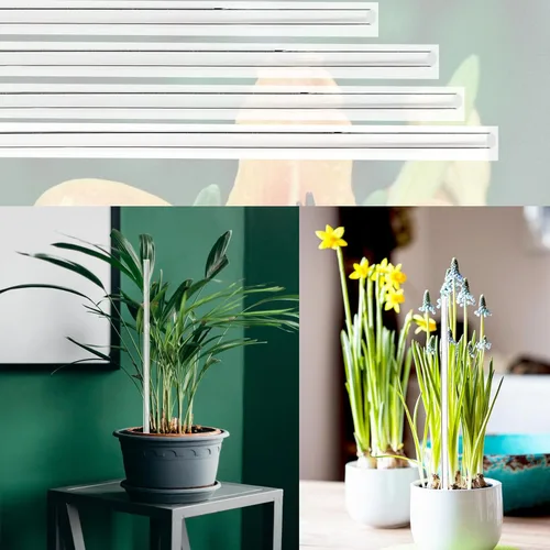 Vista 3 de 30 estacas acrílicas de 18 pulgadas para plantas de jardín, estacas transparentes para orquídeas, palos transparentes para plantas en maceta