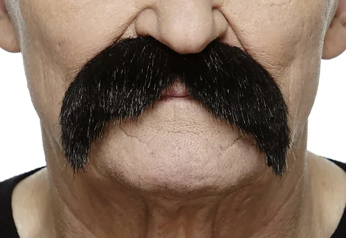 Vista 20 de Mustaches Bigotes falsos autoadhesivos, original, estilo morsa, M