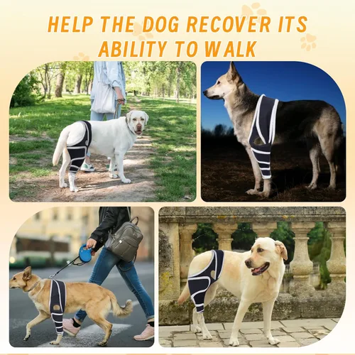 Vista 3 de Rodillera ajustable para perro para lesiones de acl y articulaciones, promueve la curación después de la cirugía, estabiliza las piernas delanteras