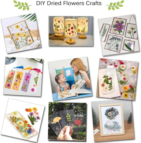 Vista 6 de Rhykoka Kit de prensa de flores grandes para adultos, 10 capas de 11.8 x 8.3 pulgadas, kit de prensa de plantas de hojas de madera, gran regalo