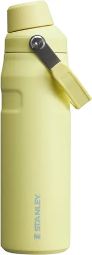 Vista 44 de STANLEY IceFlow Botella de agua de flujo rápido de 24 onzas Tapa con boquilla inclinada Ligera y a prueba de fugas para viajes y deportes Polar