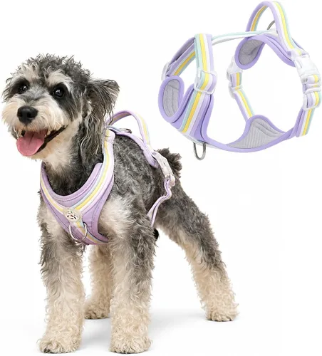 Vista 6 de Arnés para perro sin tirones, arco iris XXS, reflectante de arcoíris a rayas vibrantes, ajustable, mango suave, clip frontal y trasero, tira