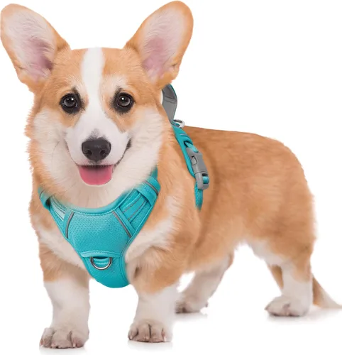 Vista 87 de BARKBAY Arnés para Perro Sin Tirones Talla Grande Arnés Reflectante para Perro con Clip Frontal y Asa de Control Fácil para Caminar Entrenar Correr