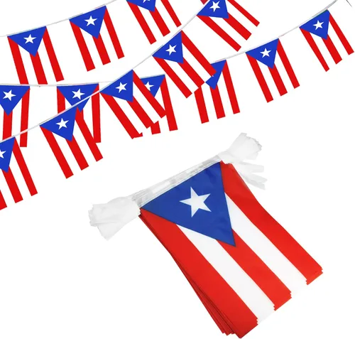 Vista 10 de Anley Banderines de cuerda de Argentina, banderines para eventos patrióticos, decoración del Día de la Independencia de Argentina, 9 de julio