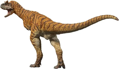 Vista 15 de PNSO- Series de dinosaurios de museos y modelos de animales prehistóricos.