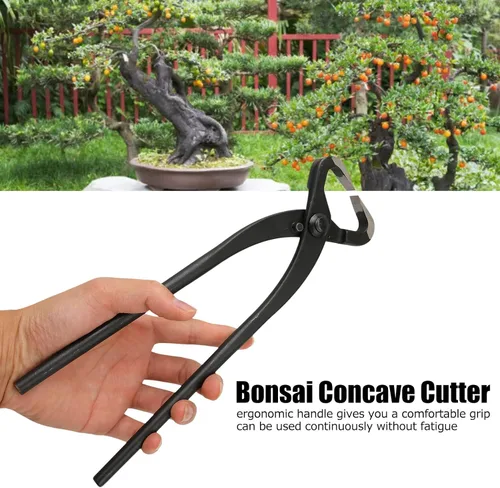 Vista 3 de Fdit Cortador de rama, cortador profesional del bonsái los 27cm10.63in incisivo para el jardín