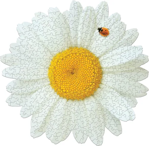 Vista 2 de Madd Capp: I AM Daisy - Rompecabezas de 350 piezas - Rompecabezas con forma floral, tamaño terminado de 23 x 23 pulgadas, incluye hoja informativa