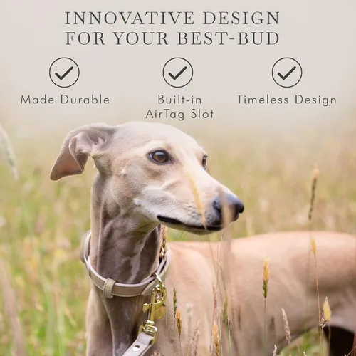 Vista 7 de Collares, arneses y correas para perros Nina Woof de Cupertino, fabricados con cuero vegano con soporte para dispositivo de seguimiento de perros