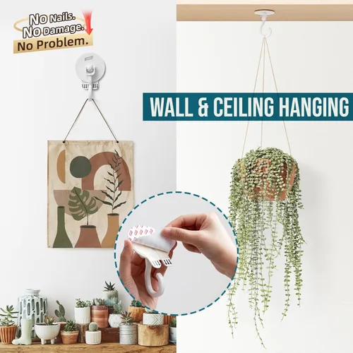 Vista 5 de TAILI Ganchos adhesivos de techo para plantas colgantes, resistentes sin taladros, ganchos de pared adhesivos extraíbles para colgar luces