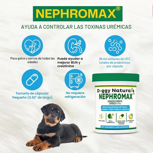Vista 4 de NEPHROMAX™ Cápsulas Synbiotic para soporte renal para perros y gatos – 36 mil millones de CFU avanzada de próxima generación de mezcla